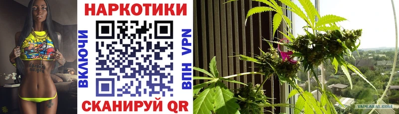 Где продают наркотики Островной ГАШ Канабис Кокаин A PVP МЕФ