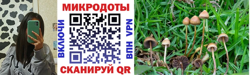 цены   Островной  Галлюциногенные грибы GOLDEN TEACHER 